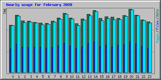 Hourly usage for February 2020