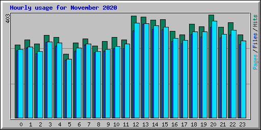 Hourly usage for November 2020